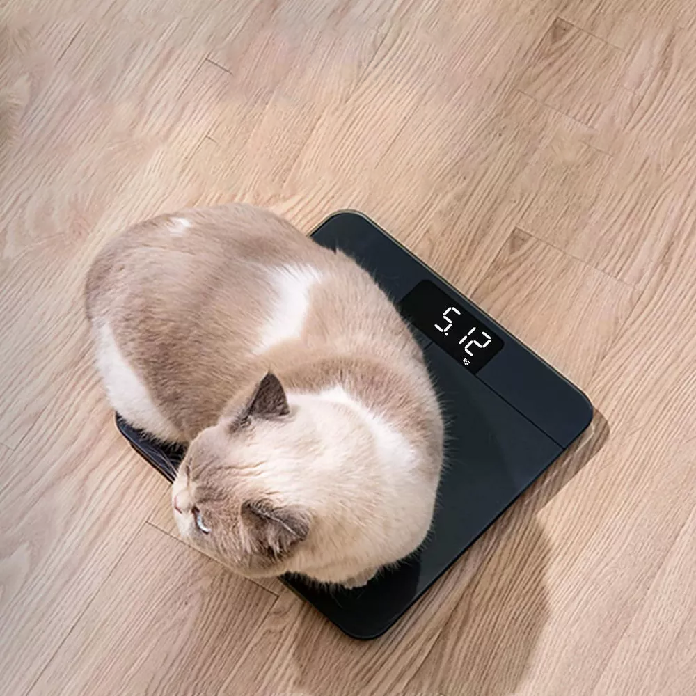 High Precision Digital Body Weight Scale with Bright LED Display